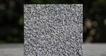 鹰潭 芝麻黑荔枝面